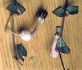 collar of hearts,string of hearts,rosary vine,hearts on a string